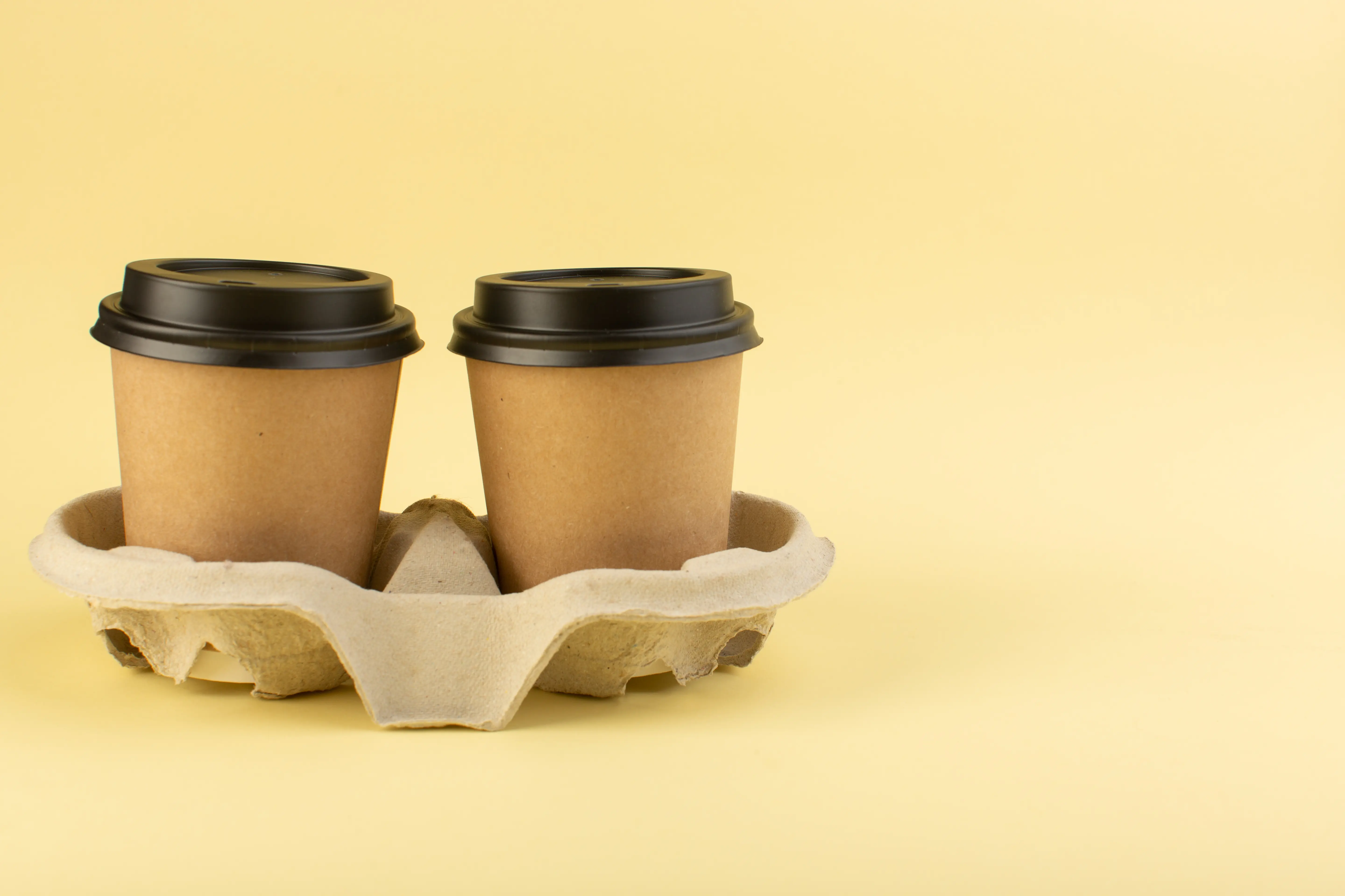 Eco Friendly Compostable Sugarcane Bagasse Drink Cups Portion Bowls Wholesale Manufacturer Exporter